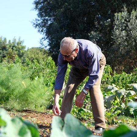 אוסטוני Masseria Grieco מראה חיצוני תמונה